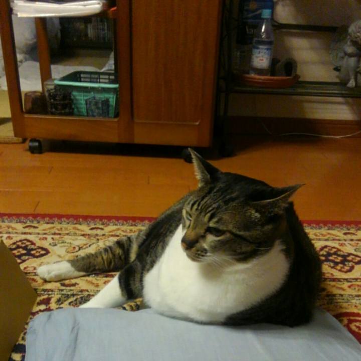 E01c736c bc27 4605 87dd fd86d6e81d50