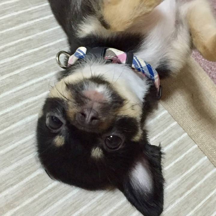 E01cef27 7ee6 4e9d b3ad c462aa9def20