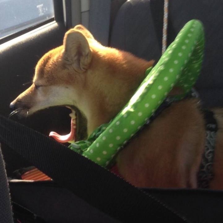 E01d2ddd 0fcf 495a 8082 9fb1a786e9ca