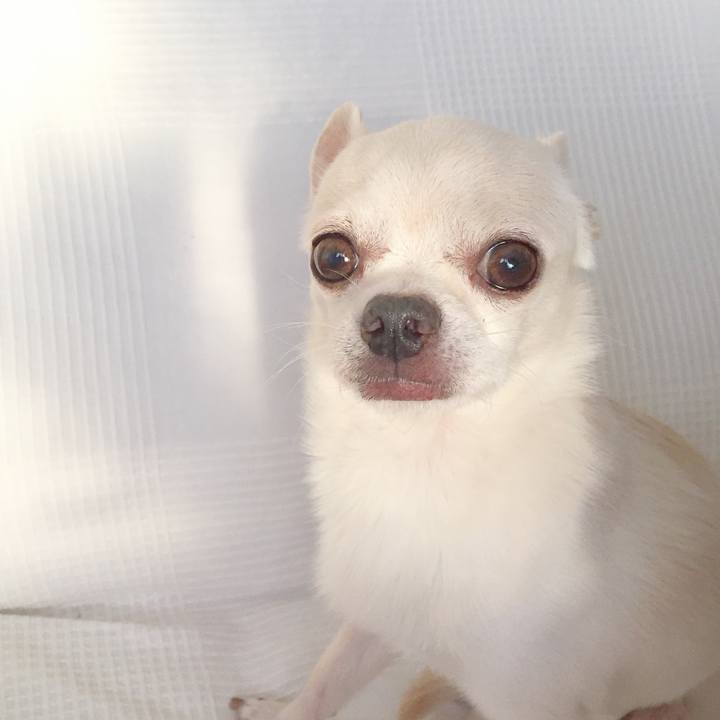 E01d4ab4 2240 4954 a8db 0c132687072e