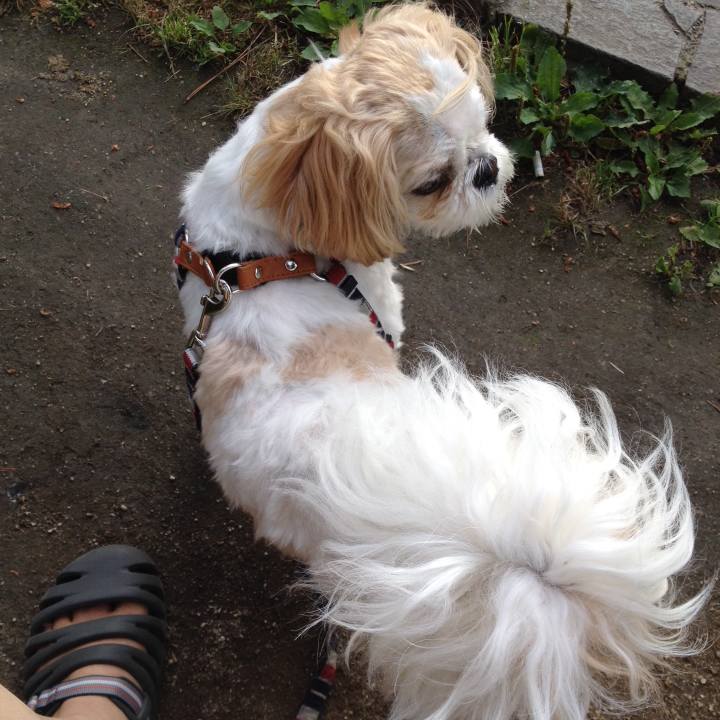 E01d6bda 5881 4339 8b10 3961762b52bd