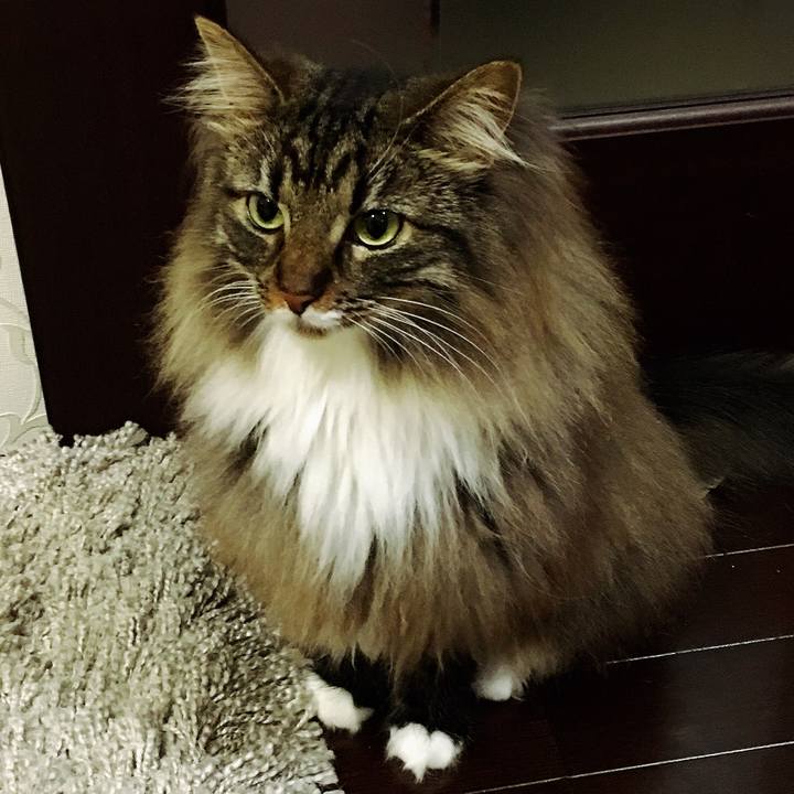 E01d6ee2 07b0 4c50 abfb 53c717b246fc