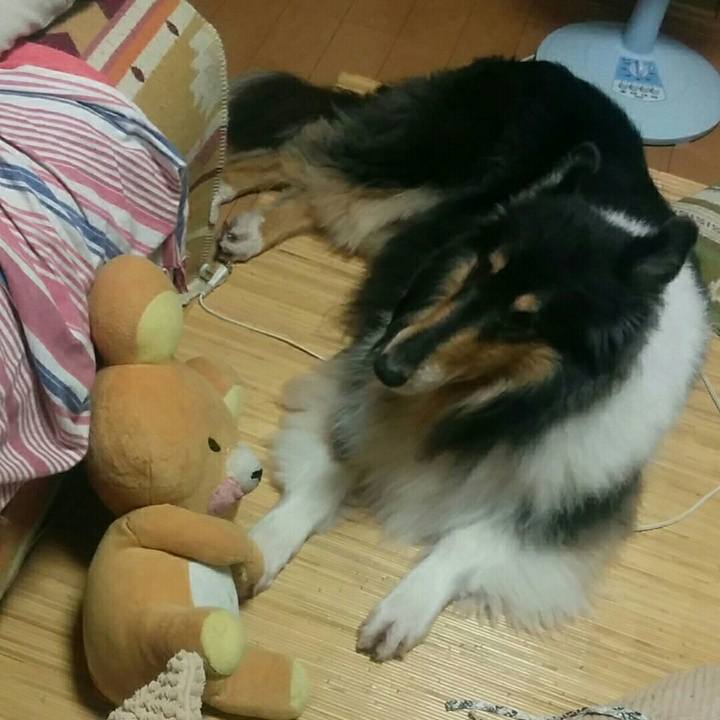 E01d8ed8 fb98 4d7f 9b18 8b6b971fe6ff