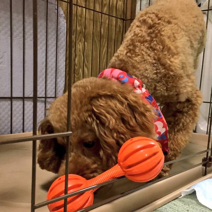 E01e1338 d86d 4fee b775 61e8f5193f19