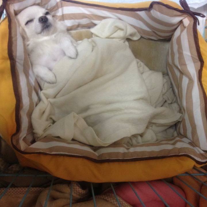 E01e8573 b7a0 499e bd0f 654eab13b968