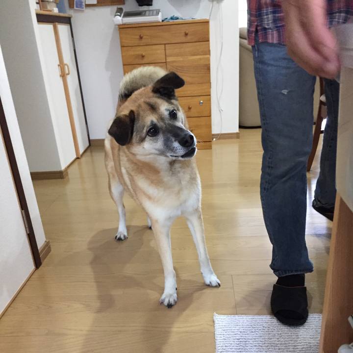 E01eb672 8dd6 451a 850e 8b354d7de393