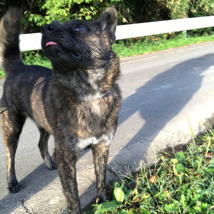 E01f27f2 30dc 4125 b79d b6205ad7ea03