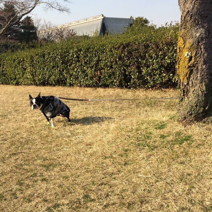 E01f3241 5a58 4abb 82ea 40dbe938a5bc