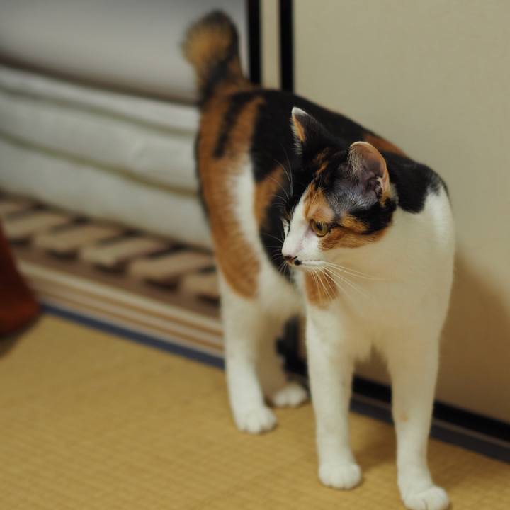 E01ff09d 813c 4214 8852 aecbd8dedb5e