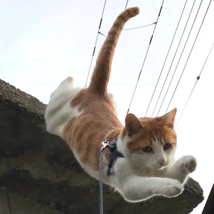 E01ff348 61dc 47e4 8cfd cfd6a40607a0