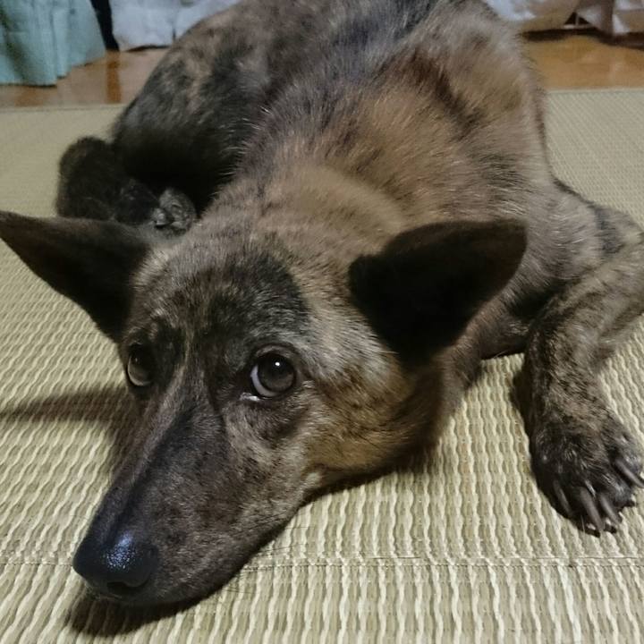 E02054ea 7e5d 4437 b270 9bfa623e1c2b