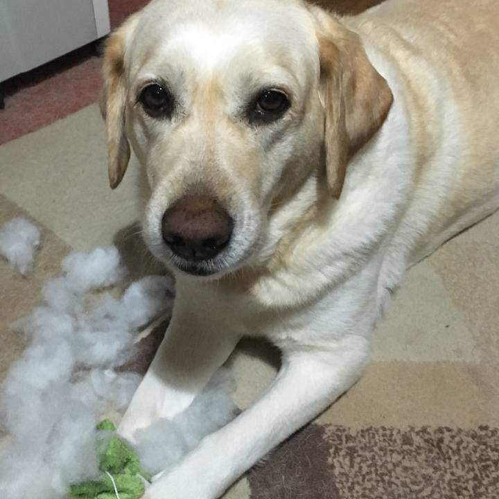 E0206f11 7238 4ac5 8c3e a0f28c16e487