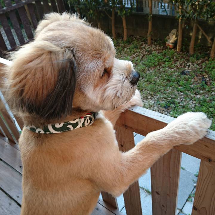 E020a3ae 732e 4479 9e47 1a42eb5ec094