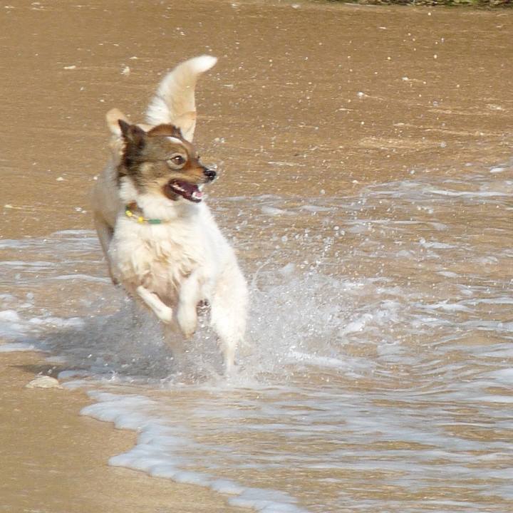 E02154e9 26ad 477a 93a6 4ee6dce48cca