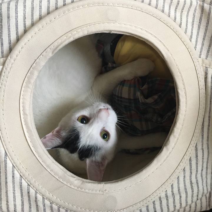 E021bffa 1dbb 4361 b49b 113ca1174350