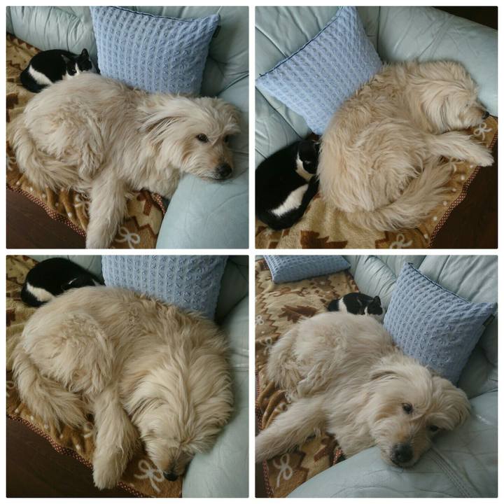 E0226eb6 cf3f 4dad 95ae 9047235a611b