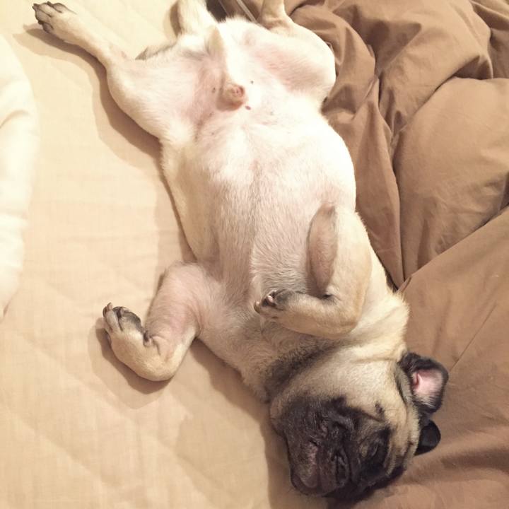 E022772b 4838 4ca3 8e94 c648030fde42