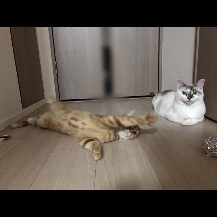 E022d010 0820 4b15 9b32 a9b86a91b177