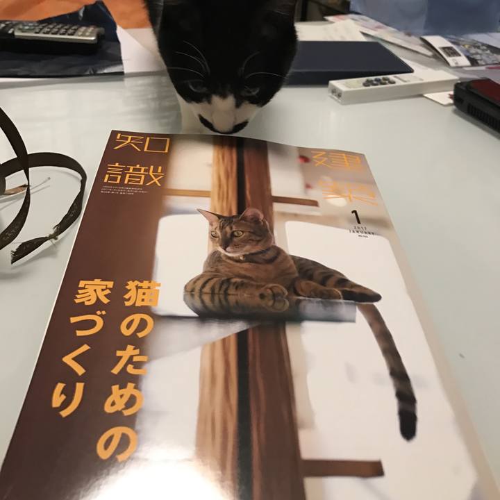 E022e743 8d55 441a a966 542f49a50fb9