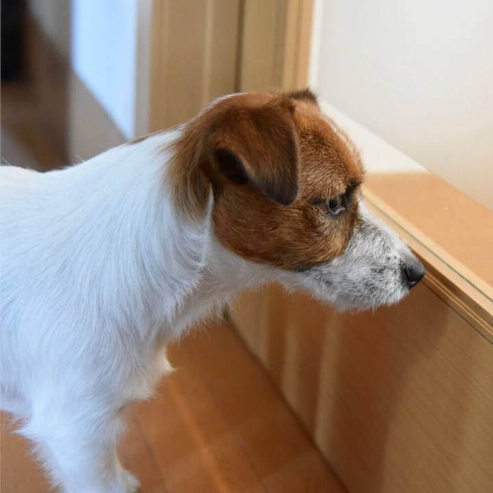 E0232244 fd56 49ae 9490 20e87798a3e3