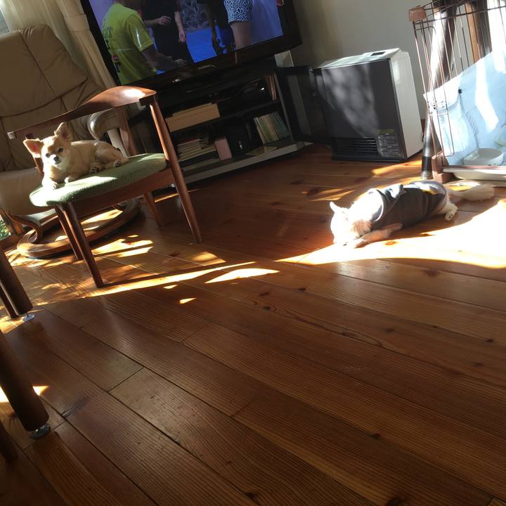 E0244e6e e0a4 4797 a08d 0061e0e89614