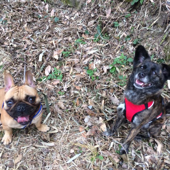 E0251731 6279 4b83 83cb 32de044f0f2b