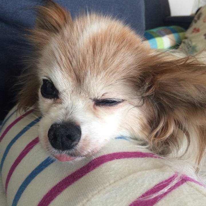 E02559d5 2a26 4a78 a233 1e7bd5ceddc7