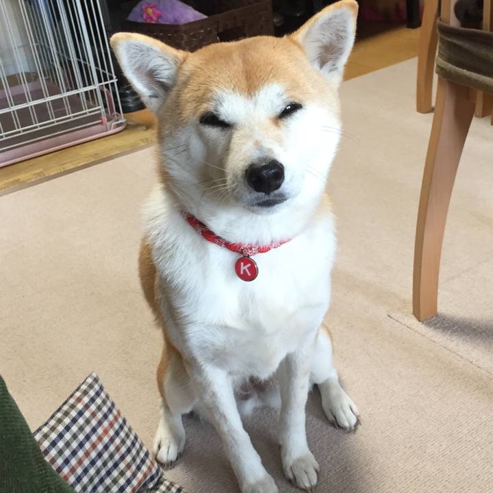 E025ae8d 3bd6 424e 9e89 1842a8c43292