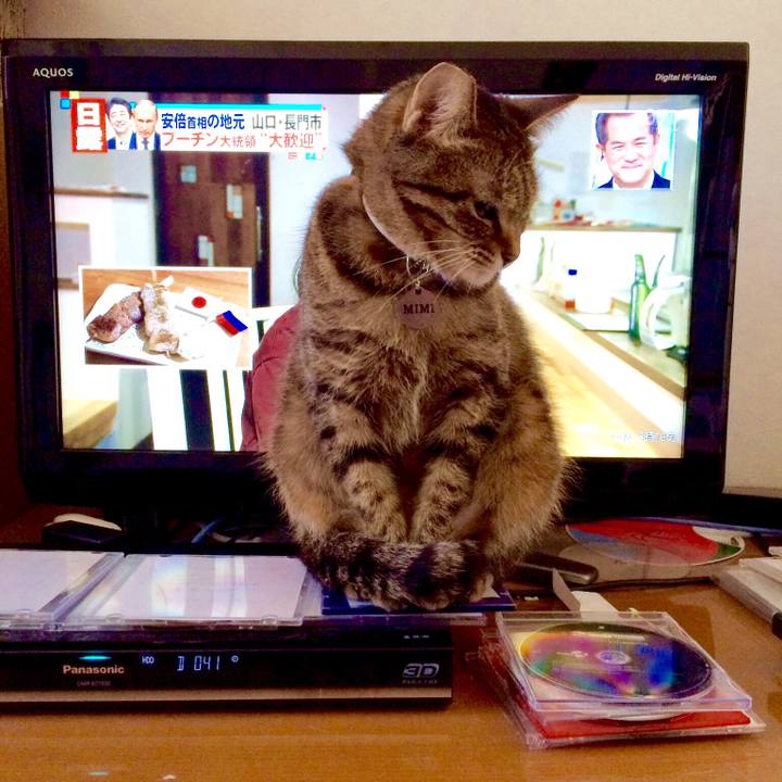 E025ce89 802d 4f4e 98b9 3c57d9b42c00