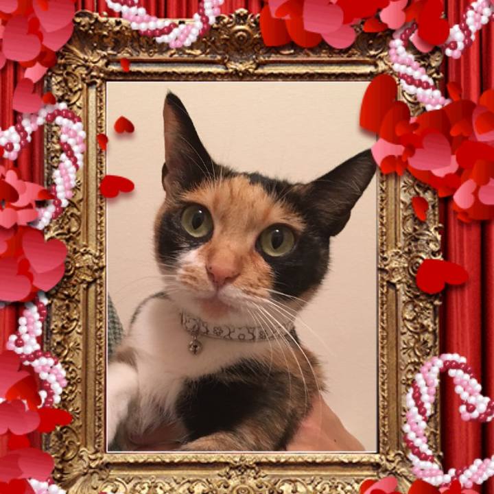 E025fc0e dad4 4dbe b948 68f4c23f5825