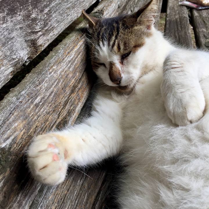 E0262cb9 e107 4a5f b214 66152e6b9b83