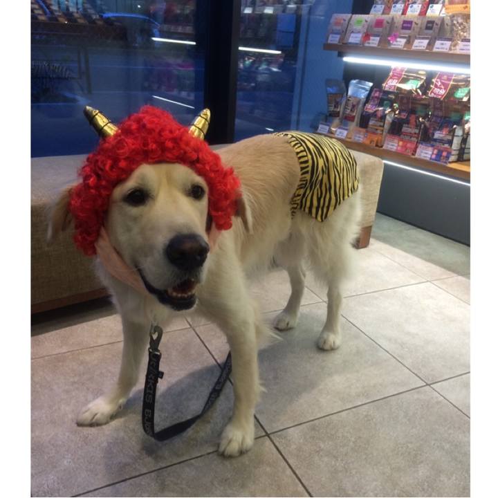 E02651a5 ccc7 46bd 91a3 d51805021aa5