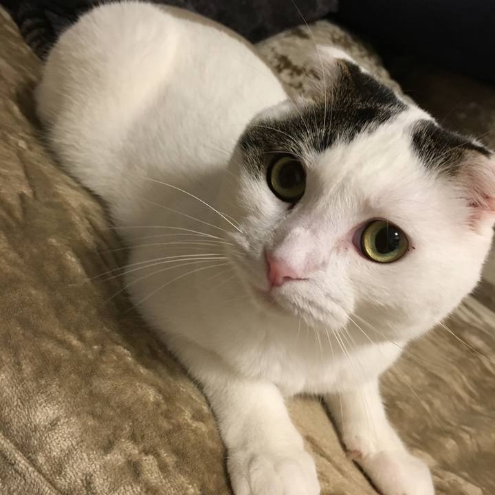 E026619f 6a45 4997 a1a0 caf5e2c2ce62