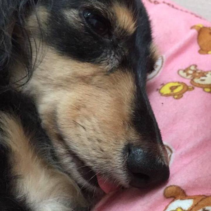 E026bf29 ac0e 4622 8fe9 d1c867aee6d2