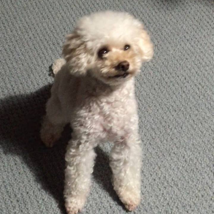 E026cc8b 6a1d 4b94 abd6 ff2ba675502e