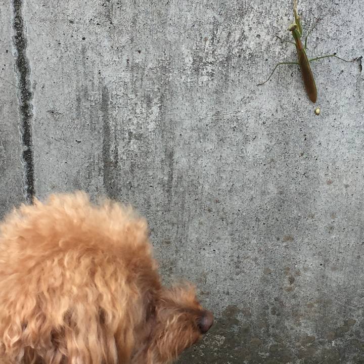 E0272186 9f79 4eb2 89e2 78b87a66e7e4