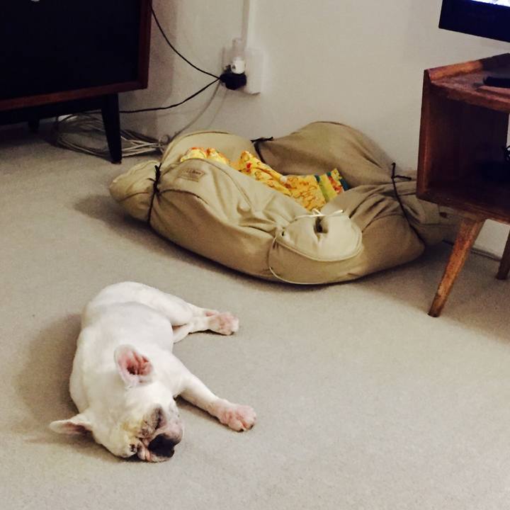 E02783ff 3ed6 473c bb25 79cbbed5ae50