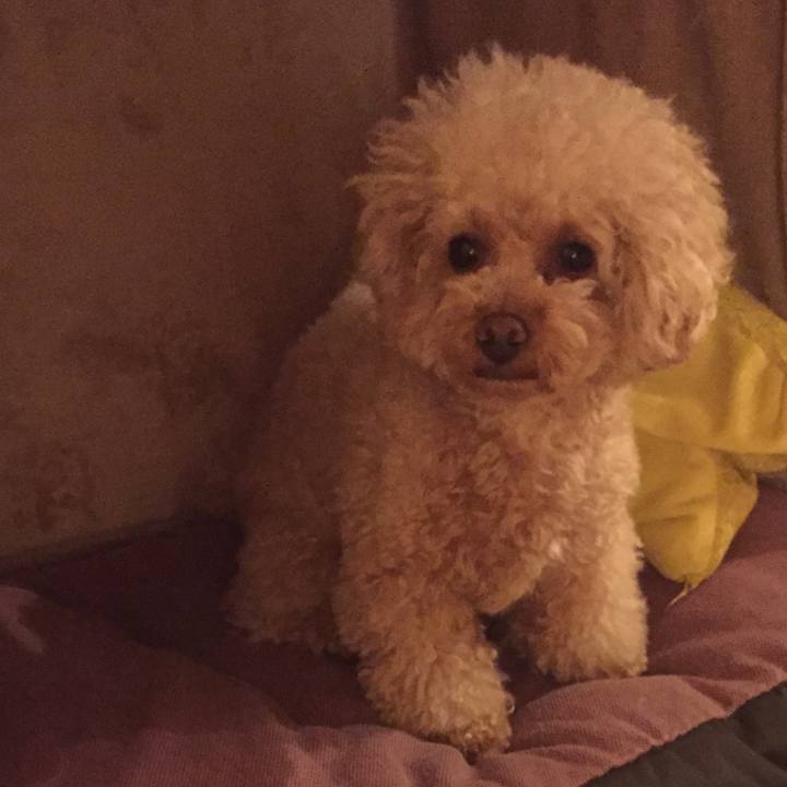 E0279a5b dda7 4baf 81ba aaa052e19046