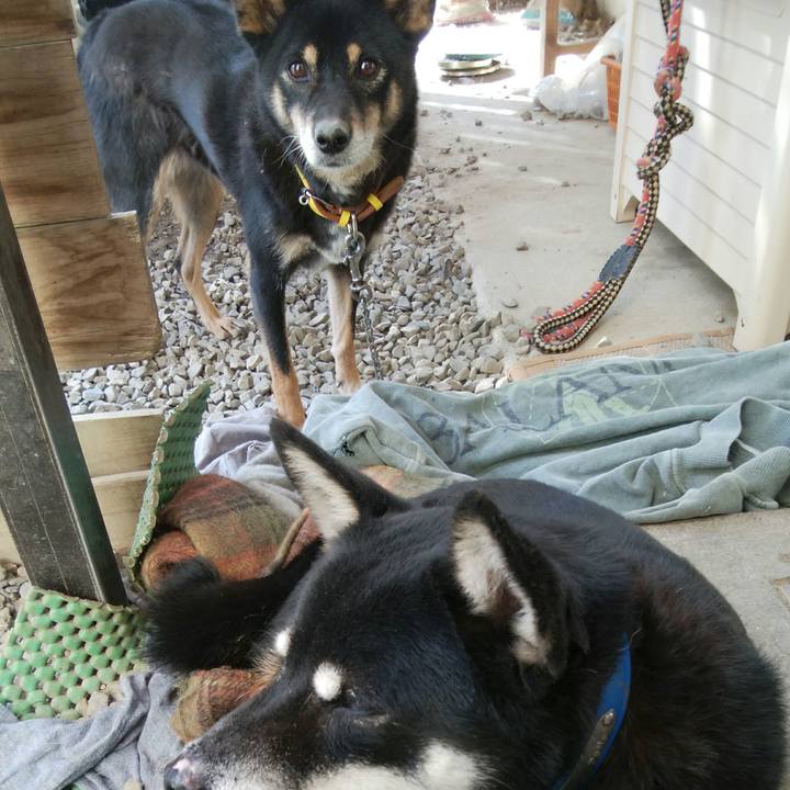 E027ba6f f681 4064 a4af 6202d24ff33e