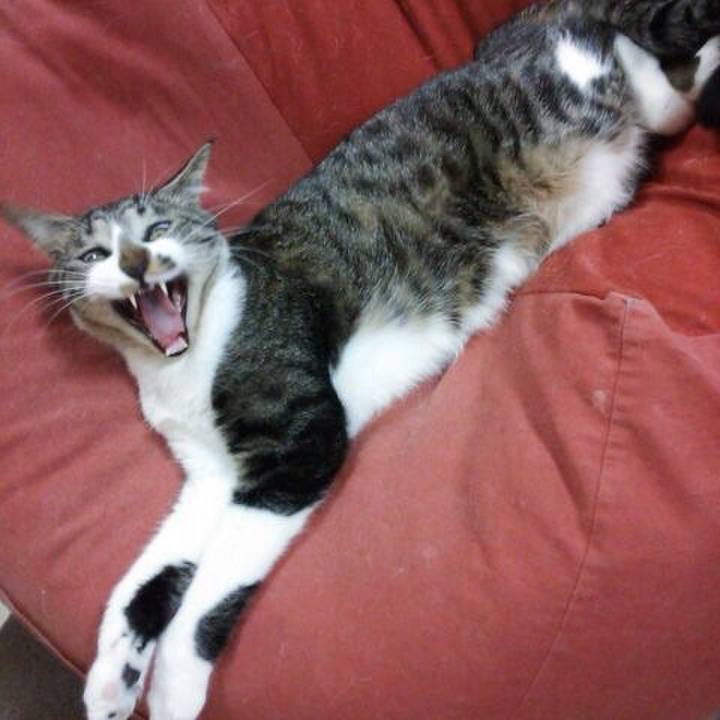 E0280c41 1484 4f31 bfd0 0f3f04113000