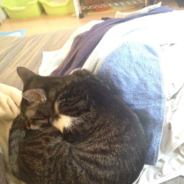 E0289ca3 7d8c 4f9c 9c63 37c475bf9c94