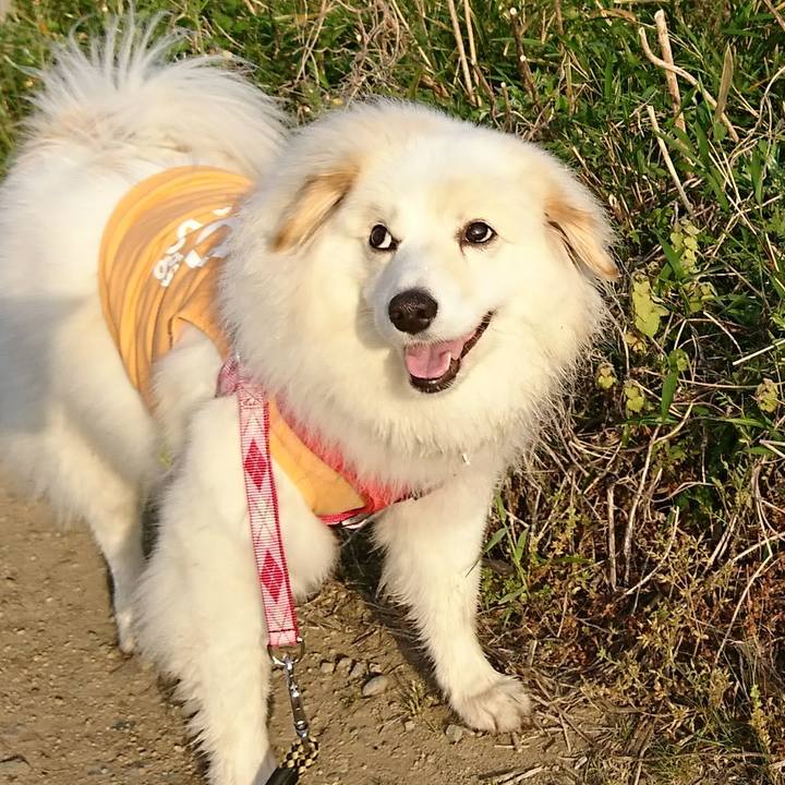 E028d341 062a 47cd 88af c1d5ee1e8541