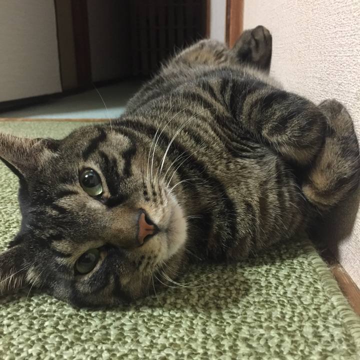 E028fad4 3e9c 4936 ac6b 31a3e4f4c892