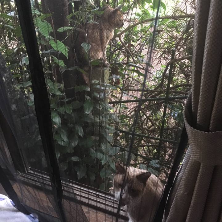 E0294799 c41d 4216 af82 c86f74f1c680