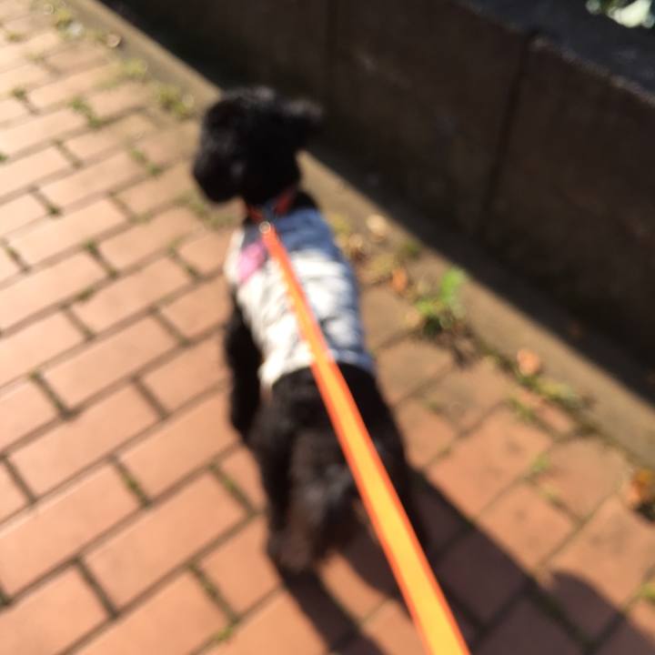 E0294efb 50b4 48bf a0c6 33ed7223b733