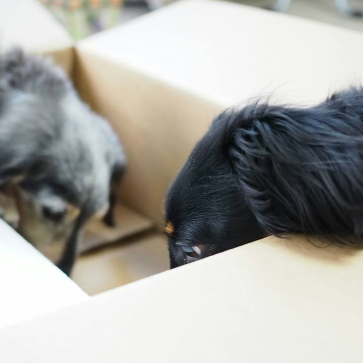 E0298e40 f697 4bf8 ba11 c9e2e29f7ec2