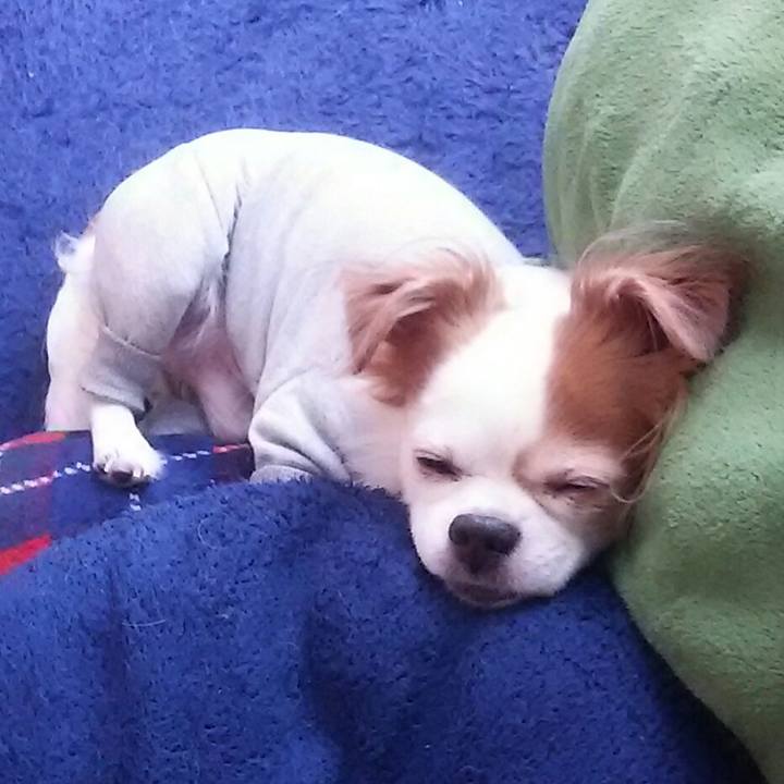 E029ac7b adc4 4ca5 97c8 3834a0f6c4ca