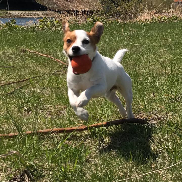 E02a0308 f76b 444f 9692 13afb6ca60df