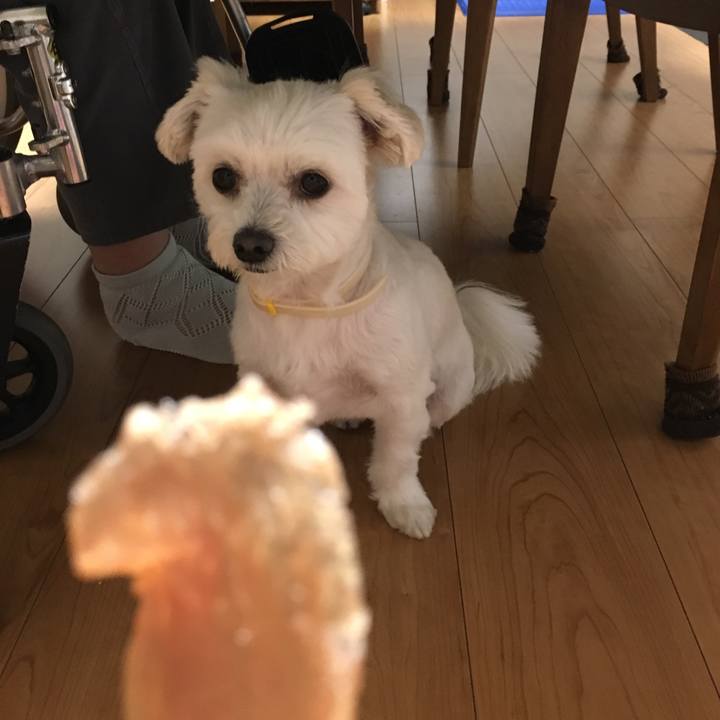 E02a3f87 4c43 48fd a6ab 12a5de11562a