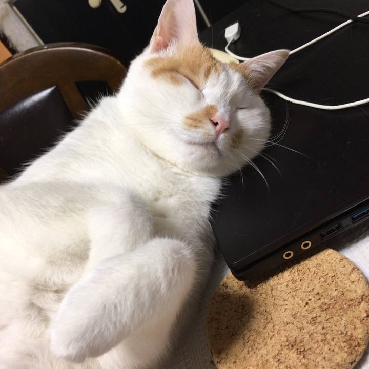 E02a6475 9986 42d2 8c10 0198520fb111